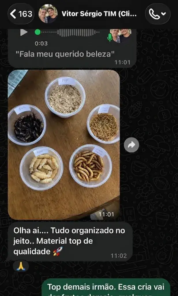 Depoimento 2