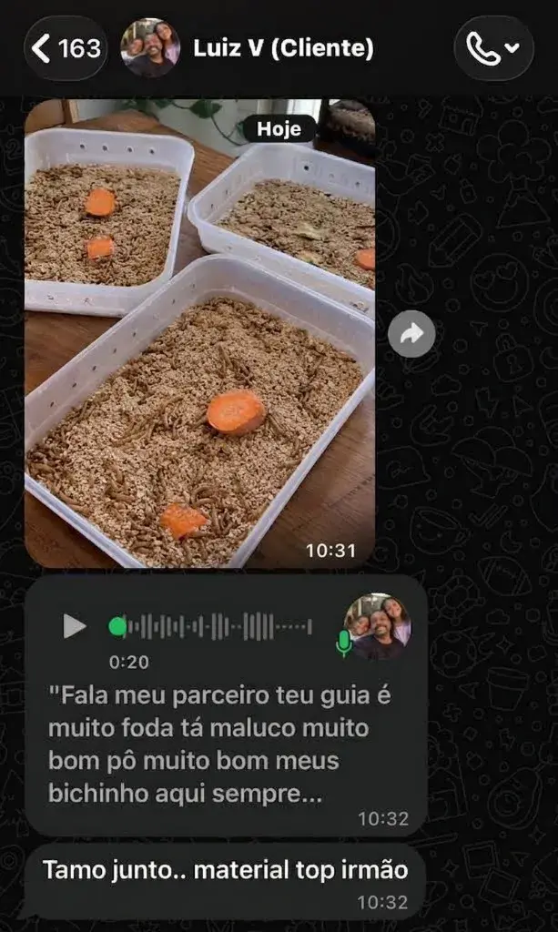 Depoimento 5