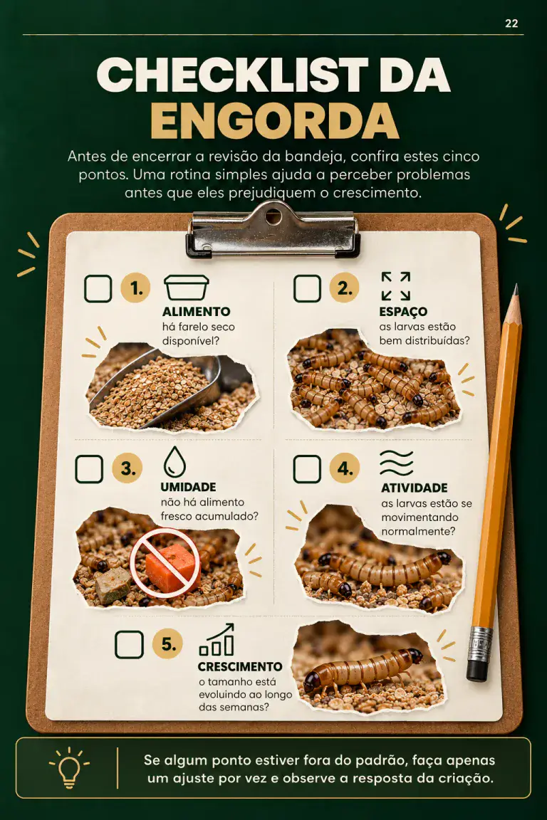 Imagem 12