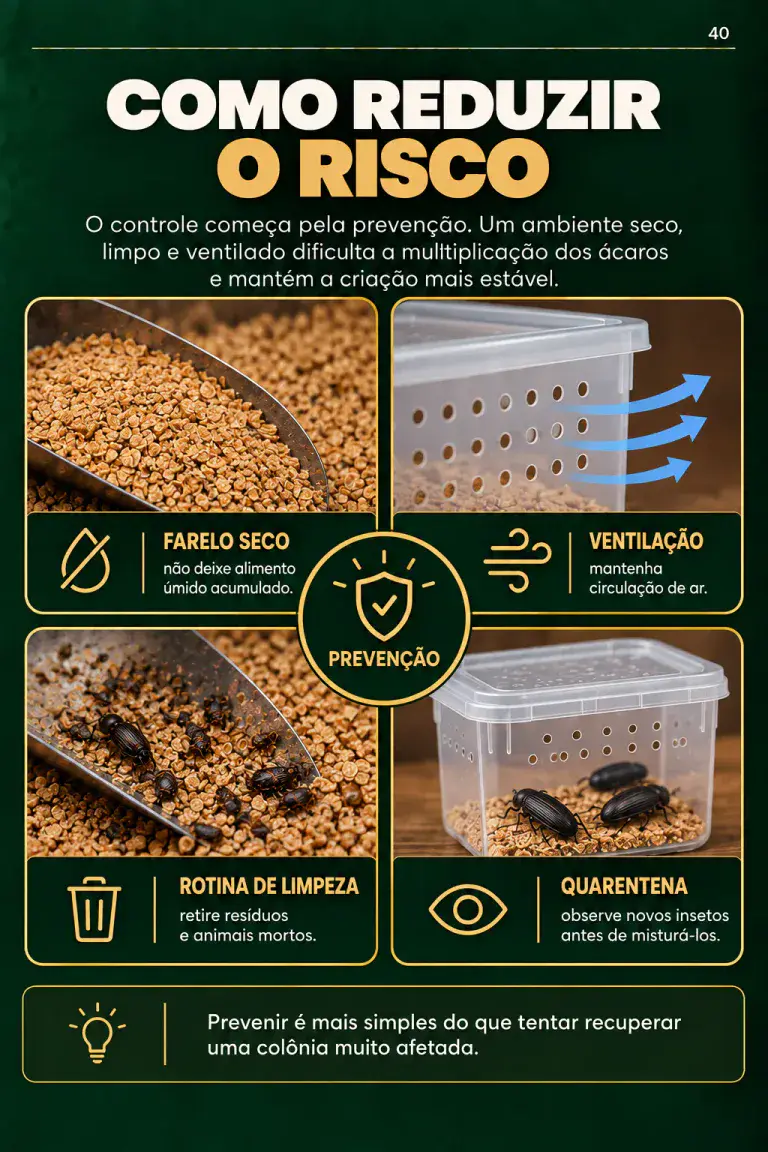 Imagem 8